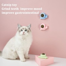 Tineke  Catnipli Yenilebilir Kedi Nanesi Otu Yalama Oyun Topu Oyuncağı Yengeç