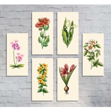 M&H Quality Doğal Tonlarda Vintage Çiçek Illüstrasyon Seti 6 Parça