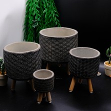 BGG Yıldız Desenli Ahşap Ayaklı Beton Saksı Seti – Modern Dekoratif Saksı (4’lü Farklı Boy)