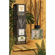 Rivola Bambu Oda Kokusu 100 ml Sandal Ağacı Reed Difüzör ile Ferahlatıcı Atmosfer