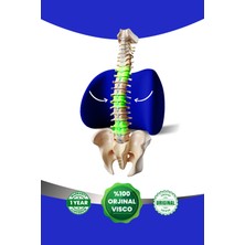 Viscomina Ortopedik Visco Bel Detek Minderi Ortopedik Visco Araç Minderi Lacivert Renk