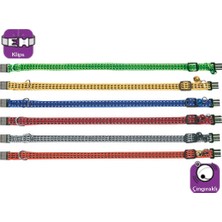 Pazarcan Kedi Tasma Çing. 25-35CM Karişik Renkli