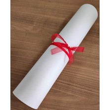 ALMITAL Amerikan Servis 42x30 Cm. 4 ADET BEYAZ RENK