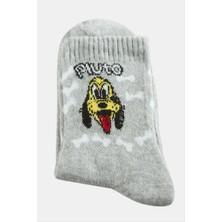 SHC4200 Köpek Kolej Çorap 8*28