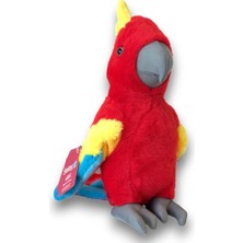 Papağan 30 cm 1 Adet