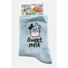 SHC4200 Inek Kolej Çorap 8*28