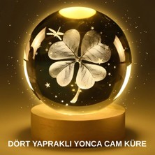 Aspata Store Buğz Yonca Bitki Figürlü LED Işıklı Cam Küre USB Ahşap Standlı Gece Lambası