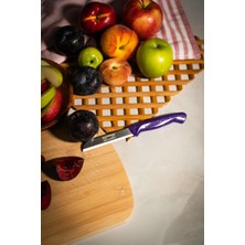 Royal Gross Solingen Simli Deliksiz Meyve Bıçağı – Mor Saplı, 18,5 Cm, Paslanmaz Alman Çeliği (4lü)