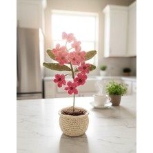 Henera Atelier El Örgüsü Saksıda Pembe Papatya / Yapay Çiçek / Sevgililer Günü / Hediyelik /doğum Günü/öğretmenler Günü