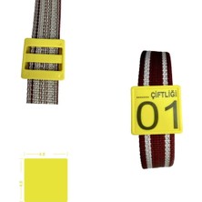 Çiftlik Ekipmanları 25 Adet Sarı Büyükbaş Hayvan Kemer(Tasma) Seti