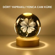 TE Dükkan Buğz Dekoratif Yonca Görünümlü Işıklı Kristal Cam Küre USB Masa Gece Lambası