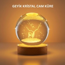 TE Dükkan Buğz 3D Geyik Desenli Kristal Küre USB Işıklı Ahşap Tabanlı Oda Lambası