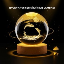 Moresun Buğz LED Işıklı Yunus Küre Ahşap Standlı Modern Dekoratif Aksesuar