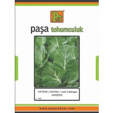 Paşa Tohumculuk Yaprak Lahana Tohumu (Karden) 10 gr X2 Paket