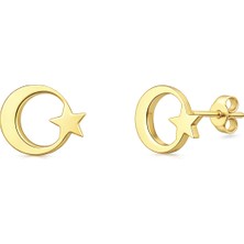 Zeya Kuyumculuk 14 Ayar Altın Ay Yıldız Küpe