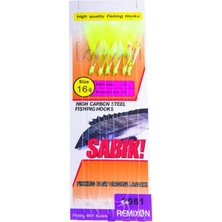 Remixon DH-2081 Serisi Çapari Hazır Takım No:16