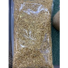 Tüm Kuşlar Için Yulaf Yemi 1 kg
