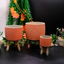 BGG Yıldız Desenli Ahşap Ayaklı Beton Saksı Seti – Modern Dekoratif Saksı (4’lü Farklı Boy)