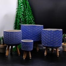 BGG Yıldız Desenli Ahşap Ayaklı Beton Saksı Seti – Modern Dekoratif Saksı (4’lü Farklı Boy)