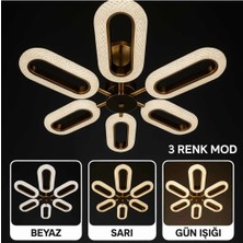 Bohem Aydınlatma 6lı Elips Gold 3 Renk LED Modern Avize Beyaz/sarı/günışığı