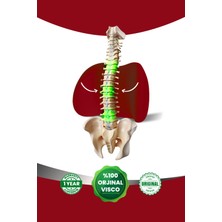 Viscomina Ortopedik Visco Bel Detek Minderi Ortopedik Visco Araç Minderi Bordo Renk
