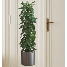 Go İthalat Saksılı Bitki Tasarımlı Yapışkanlı Sticker Resim 90*30 cm