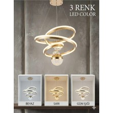 Bohem Aydınlatma Modern Çizgili Kasa Gold Kaos Model 3 Renk LED Avize