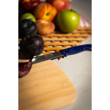 Royal Gross Solingen Simli Deliksiz Meyve Bıçağı – Mavi Saplı, 18,5 Cm, Paslanmaz Alman Çeliği (4lü)