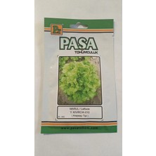 Paşa Tohumculuk Marul Y.KIVIRCIK-010 (Arapsaçı Tipi) 10 gr