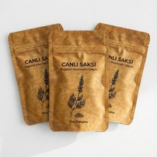 Canlı Saksı'ya Özel Chia Tohumlar - 3'lü Paket