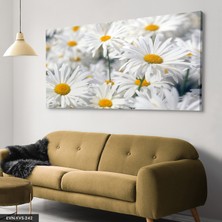 Evine Moda Papatya Tek Parça Kanvas Canvas Tablo