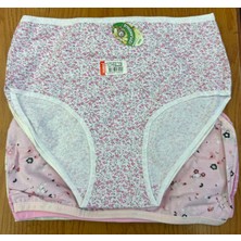 Ceylanoğlu 12 Li Paket Kadın Yüksek Bel Desenli Pamuk Likra Külot