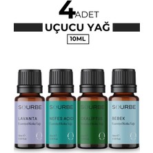 Lavanta Nefes Okaliptus Bebek, Esansiyel Uçucu Yağı Difüzör Koku Yağı Buhurdanlık Yağı 4X10ML
