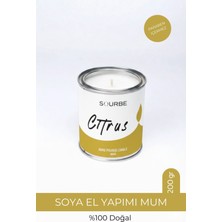 Sourbe Citrus Limon Narenciye Aromalı Kokulu Soya Mum %100 Doğal Dekoratif Metal Mum Metal Kapak 200 gr