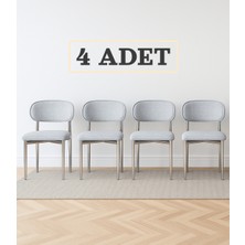 JoyMassa Polo Sandalye 4 Adet Nikel Ayaklı