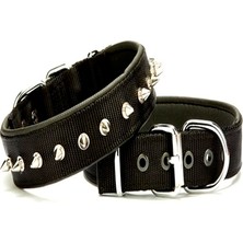 Pazarcan Çivi Desenli Köpek Tasması 3*65 cm Siyah