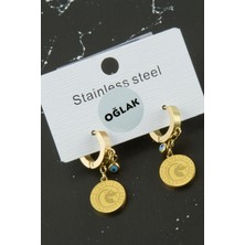 SHC4200 Oğlak Burcu Çelik Küpe