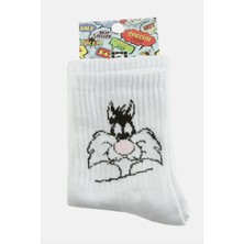 SHC4200 Kedi Kolej Çorap 8*28