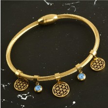 SHC4200 Yaşayan Lüks Çelik Kelepçe Bileklik