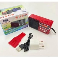 Starseven RT-303 USB ve Micro Kart Girişli Manuel El Radyosu