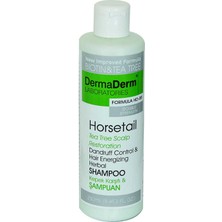 SHC4200 Kepek Karşıtı At Kuyruğu Kırkkilit Otu Özü ve Vitaminli Mineralli Saç Güçlendirici Şampuan 250 ml