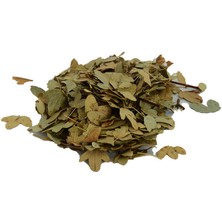 SHC4200 Şimşir Yaprağı Doğal 100 gr Paket