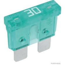 Oek EGT-7701998060 - Sigorta 30 A Express