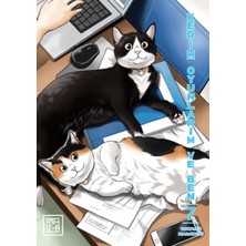 Athica Yayınları Kedim Oyunlarım ve Ben 7