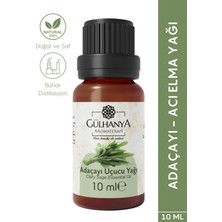 Gülhanya Adaçayı Uçucu Yağı 10 ml