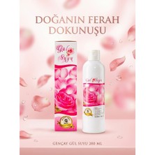 Gençay Gül Suyu 280 ml (Kutulu)