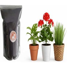 Sonrisa Pets Bitki ve çiçekler Için Özel Olarak Elenmiş Torf Toprak 1 kg “Çöpsüz, çakılsız, tertemiz”