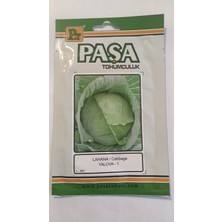 Paşa Tohumculuk Lahana (Yalova-1) 10 gr