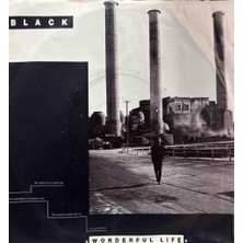 Kadıköy Plak Kulübü Black (2) – Wonderful Life 45'lik