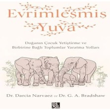 SHC4200 Evrimleşmiş Yuva